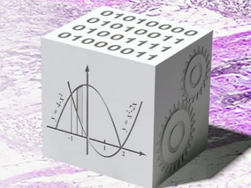 Physical Sciences - Oncology Network