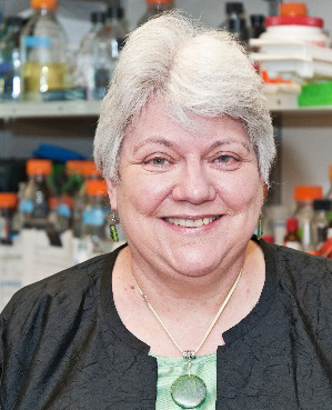 Dr. Denise Galloway