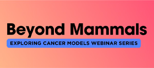 Beyond Mammals: Exploring Cancer Models Webinar Series