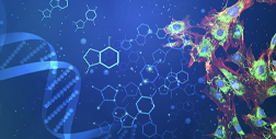 Precision in Practice: A Functional Medicine Workshop