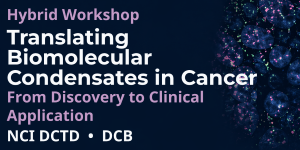 Translating Biomolecular Condensates in Cancer: From Discovery to Clinical Application