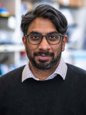 Patrick Bhola