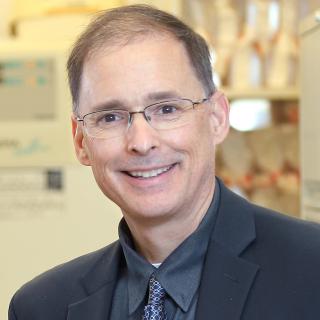 James Gulley, MD, PhD
