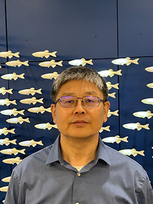 Xuelu (Jeff) Liu
